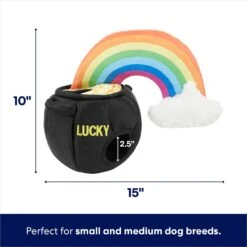 Frisco St. Patrick's Pot Of Gold Hide & Seek Puzzle Plush Squeaky Dog Toy -Hot Sale Pet Supplies 303130 PT1. AC SS1800 V1703016817