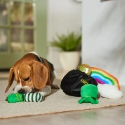 Frisco St. Patrick's Pot Of Gold Hide & Seek Puzzle Plush Squeaky Dog Toy -Hot Sale Pet Supplies 303130 PT4. AC SS1800 V1700163009