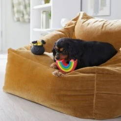 Frisco St. Patrick's Rainbow And Pot Of Gold Latex Squeaky Dog Toy -Hot Sale Pet Supplies 303136 PT4. AC SS1800 V1702500566