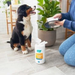 Catit Flower Plastic Cat Fountain & Frisco Pet Toy & Bowl Cleaning Wipes, 70 Count -Hot Sale Pet Supplies 303288 PT7. AC SS1800 V1623047247