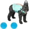 Frisco Active Dog Life Jacket & Frisco Foam Rubber Floating Fetch Ball No Squeak Dog Toy -Hot Sale Pet Supplies 303364 MAIN. AC SS1800 V1623163652