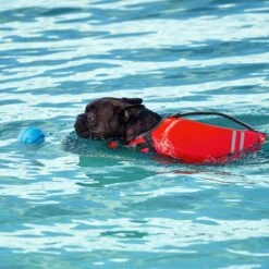 Frisco Active Dog Life Jacket & Frisco Foam Rubber Floating Fetch Ball No Squeak Dog Toy -Hot Sale Pet Supplies 303364 PT8. AC SS1800 V1623163654