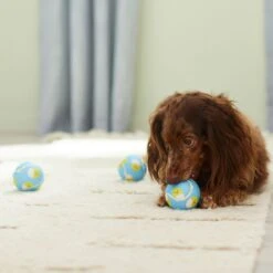 Frisco Easter Fetch Squeaky Tennis Ball Dog Toy, Medium, 3 Count -Hot Sale Pet Supplies 304964 PT4. AC SS1800 V1703184745