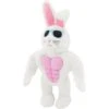 Frisco Easter Bunny Muscle Plush Squeaky Dog Toy 2 Frisco Easter Bunny Muscle Plush Squeaky Dog Toy -Hot Sale Pet Supplies 304976 MAIN. AC SS1800 V1642441114