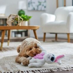 Frisco Easter Bunny Muscle Plush Squeaky Dog Toy -Hot Sale Pet Supplies 304976 PT4. AC SS1800 V1702500565