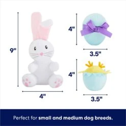Frisco Easter Basket Hide & Seek Puzzle Plush Squeaky Dog Toy -Hot Sale Pet Supplies 304982 PT2. AC SS1800 V1702665735