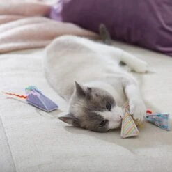 Frisco Spring Party Hat Kickers Cat Toy With Catnip -Hot Sale Pet Supplies 306960 PT3. AC SS1800 V1703184746