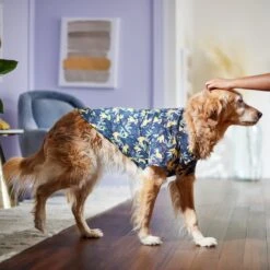 Disney Lion King's Simba Jungle Dog & Cat Shirt -Hot Sale Pet Supplies 311842 PT8. AC SS1800 V1643323713