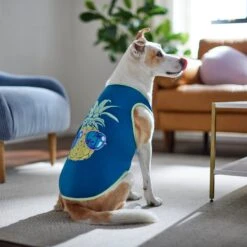 Frisco Pineapple Guy Dog & Cat T-Shirt -Hot Sale Pet Supplies 312040 PT8. AC SS1800 V1644466024