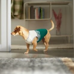 Frisco Tropical Palm Dog & Cat T-Shirt -Hot Sale Pet Supplies 312072 PT8. AC SS1800 V1644425897