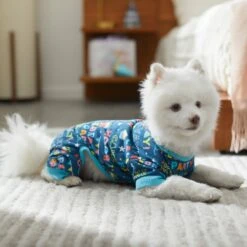 Frisco Celebration Dog & Cat PJs -Hot Sale Pet Supplies 315105 PT8. AC SS1800 V1646437758