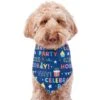 Frisco Celebration Dog & Cat Bandana