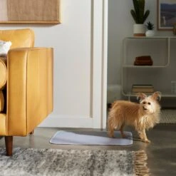 Frisco Washable Dog Potty Pads 10 Frisco Washable Dog Potty Pads -Hot Sale Pet Supplies 315712 PT3. AC SS1800 V1644880410