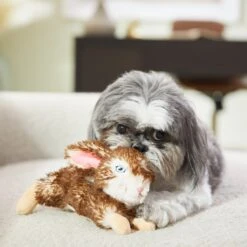 Frisco Realistic Plush Rabbit Plush Dog Toy, Small -Hot Sale Pet Supplies 316933 PT2. AC SS1800 V1641400634