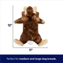 Frisco Realistic Rabbit Plush Squeaky Dog Toy -Hot Sale Pet Supplies 316939 PT1. AC SS1800 V1695760927