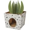 Frisco Potted Succulent Cardboard Cat House -Hot Sale Pet Supplies 317723 MAIN. AC SS1800 V1688677259
