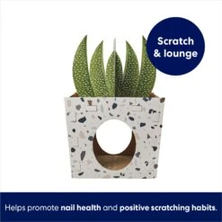 Frisco Potted Succulent Cardboard Cat House -Hot Sale Pet Supplies 317723 PT2. AC SS1800 V1689342085