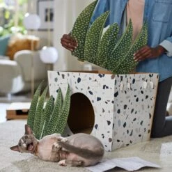 Frisco Potted Succulent Cardboard Cat House -Hot Sale Pet Supplies 317723 PT3. AC SS1800 V1688677248