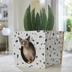 Frisco Potted Succulent Cardboard Cat House -Hot Sale Pet Supplies 317723 PT4. AC SS1800 V1688677260