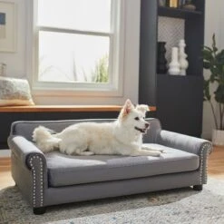 Frisco Sofa Pet Bed With Removable Cover & Frisco Eyelash Cat & Dog Blanket -Hot Sale Pet Supplies 319504 PT4. AC SS1800 V1630625195
