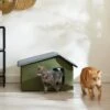 Frisco Extra Wide Indoor Unheated Cat House 2 Frisco Extra Wide Indoor Unheated Cat House -Hot Sale Pet Supplies 329532 MAIN. AC SS1800 V1643927597