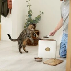 Frisco Premium Airtight Dog & Cat Food Storage Canister With Scoop -Hot Sale Pet Supplies 331486 PT3. AC SS1800 V1657656891