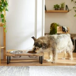 Frisco Premium Wood Elevated Bone Shape Stainless Steel Double Diner Dog & Cat Bowl, 3 Cup 10 Frisco Premium Wood Elevated Bone Shape Stainless Steel Double Diner Dog & Cat Bowl, 3 Cup -Hot Sale Pet Supplies 331497 PT2. AC SS1800 V1657656892