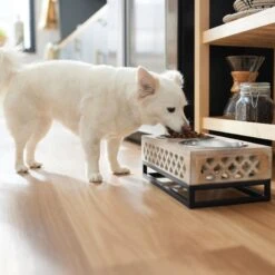 Frisco Premium Wood Elevated Stainless Steel Double Diner Dog & Cat Bowl, 3 Cup -Hot Sale Pet Supplies 331507 PT2. AC SS1800 V1657656894