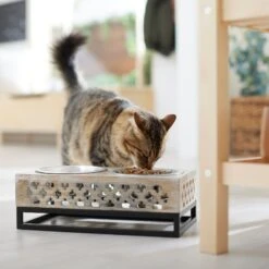 Frisco Premium Wood Elevated Stainless Steel Double Diner Dog & Cat Bowl, 3 Cup -Hot Sale Pet Supplies 331507 PT3. AC SS1800 V1657656894