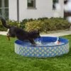 Frisco Outdoor Dog Swimming Pool, Rubber Ducky -Hot Sale Pet Supplies 331660 MAIN. AC SS1800 V1646178232