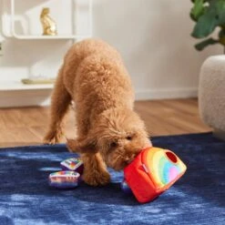 Frisco Pride Rainbow Hide & Seek Puzzle Plush Squeaky Dog Toy 9 Frisco Pride Rainbow Hide & Seek Puzzle Plush Squeaky Dog Toy -Hot Sale Pet Supplies 331673 PT3. AC SS1800 V1647356070