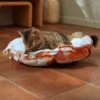 Frisco Calico Cat Design Adjustable Cat Bolster Bed 2 Frisco Calico Cat Design Adjustable Cat Bolster Bed -Hot Sale Pet Supplies 333860 MAIN. AC SS1800 V1658718002