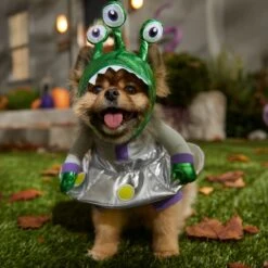 Frisco Front Walking Alien Dog & Cat Costume 16 Frisco Front Walking Alien Dog & Cat Costume -Hot Sale Pet Supplies 334795 PT7. AC SS1800 V1657718966