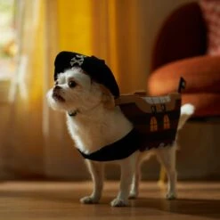 Frisco Pirate Ship Dog & Cat Costume -Hot Sale Pet Supplies 335078 PT7. AC SS1800 V1657656881