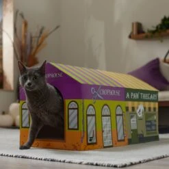 Frisco Halloween A-Paw-Thecary & Chop House Cardboard Cat House With Catnip 10 Frisco Halloween A-Paw-Thecary & Chop House Cardboard Cat House With Catnip -Hot Sale Pet Supplies 344002 PT3. AC SS1800 V1657657029