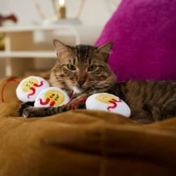 Frisco Halloween Haunted Deviled Eggs Plush Cat Toy With Catnip -Hot Sale Pet Supplies 344058 PT3. AC SS1800 V1657657030