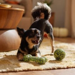 Frisco Halloween Glow In The Dark TPR Squeaky Bone & Ball Dog Toy -Hot Sale Pet Supplies 344130 PT3. AC SS1800 V1657657042