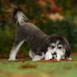 Frisco Halloween Mummy Latex Squeaky Dog Toy 8 Frisco Halloween Mummy Latex Squeaky Dog Toy -Hot Sale Pet Supplies 344140 PT3. AC SS1800 V1657657042