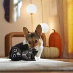 Frisco Halloween Spooky Owl Plush Squeaky Dog Toy 9 Frisco Halloween Spooky Owl Plush Squeaky Dog Toy -Hot Sale Pet Supplies 344162 PT3. AC SS1800 V1657657049