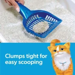 Fresh Step Febreze Freshness Gain Scented Clumping Clay Cat Litter -Hot Sale Pet Supplies 346442 PT2. AC SS1800 V1694463360