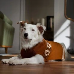 Frisco Western Pattern Dog & Cat Sweater -Hot Sale Pet Supplies 353634 PT7. AC SS1800 V1660749685