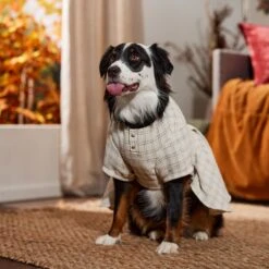 Frisco Tweed Weave Ruffle Skirt Dog & Cat Dress -Hot Sale Pet Supplies 353649 PT6. AC SS1800 V1660750168