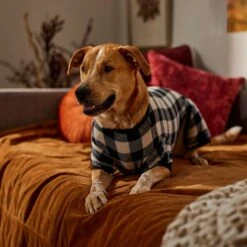 Frisco Plaid Dog & Cat Fleece Pajamas 12 Frisco Plaid Dog & Cat Fleece Pajamas -Hot Sale Pet Supplies 353755 PT6. AC SS1800 V1660749967