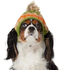Frisco Striped Poof Dog & Cat Knitted Hat -Hot Sale Pet Supplies 353793 PT2. AC SS1800 V1659008241