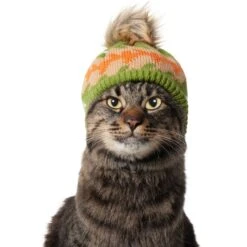 Frisco Striped Poof Dog & Cat Knitted Hat -Hot Sale Pet Supplies 353793 PT3. AC SS1800 V1659011014