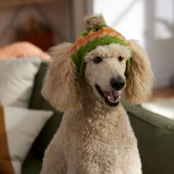 Frisco Striped Poof Dog & Cat Knitted Hat -Hot Sale Pet Supplies 353793 PT4. AC SS1800 V1660749749