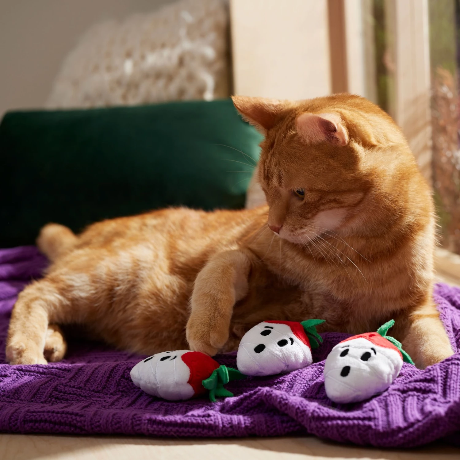 Frisco Halloween Ghost Strawberries Plush Cat Toy With Catnip, 3 Count 5 Frisco Halloween Ghost Strawberries Plush Cat Toy With Catnip, 3 Count - Image 3
