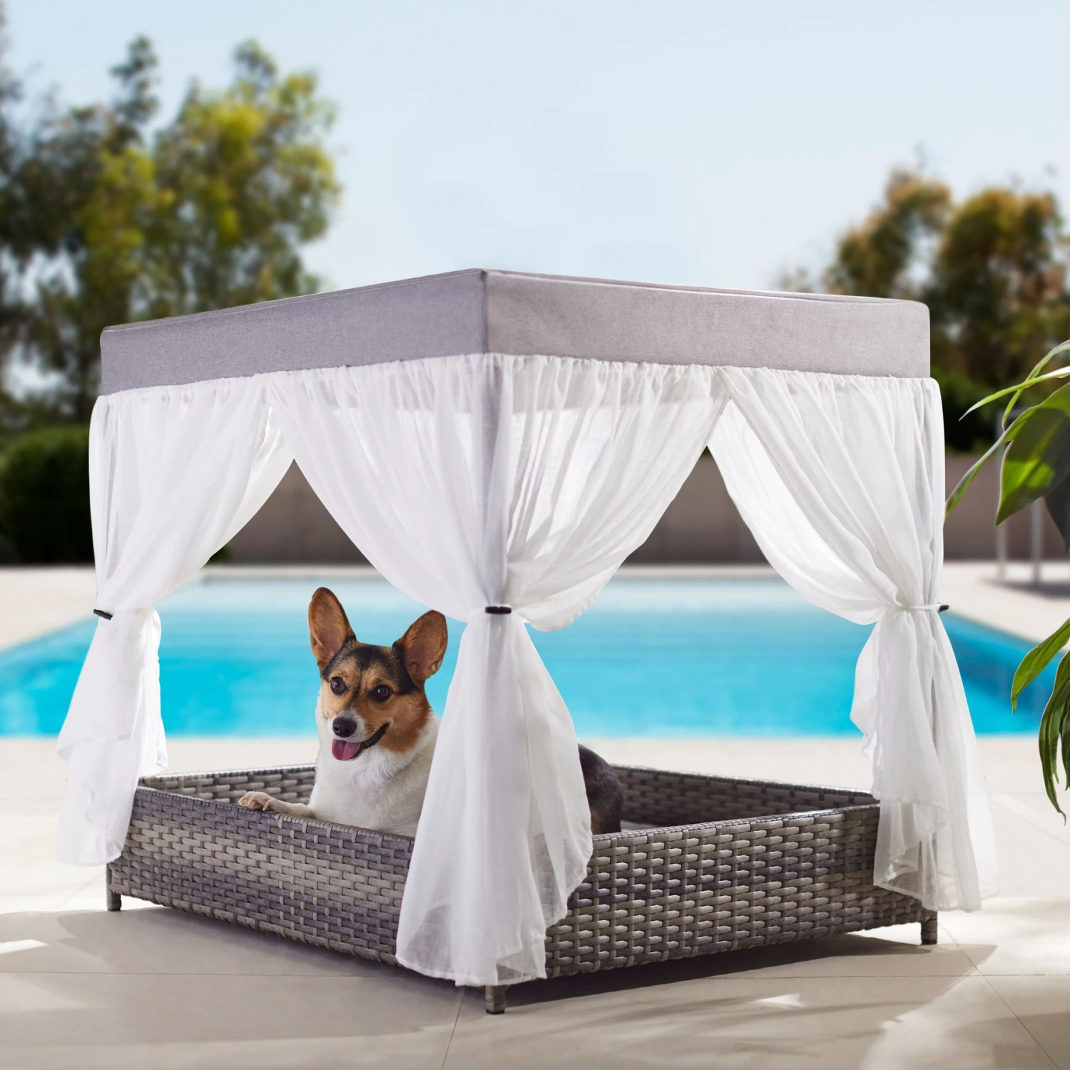 Frisco Outdoor Wicker Canopy Dog Bed 3 Frisco Outdoor Wicker Canopy Dog Bed