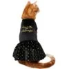 Frisco Kiss Me At Midnight Dog & Cat Dress 1 Frisco Kiss Me At Midnight Dog & Cat Dress -Hot Sale Pet Supplies 358044 MAIN. AC SS1800 V1660745164