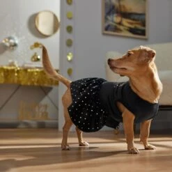 Frisco Kiss Me At Midnight Dog & Cat Dress -Hot Sale Pet Supplies 358044 PT7. AC SS1800 V1661799831